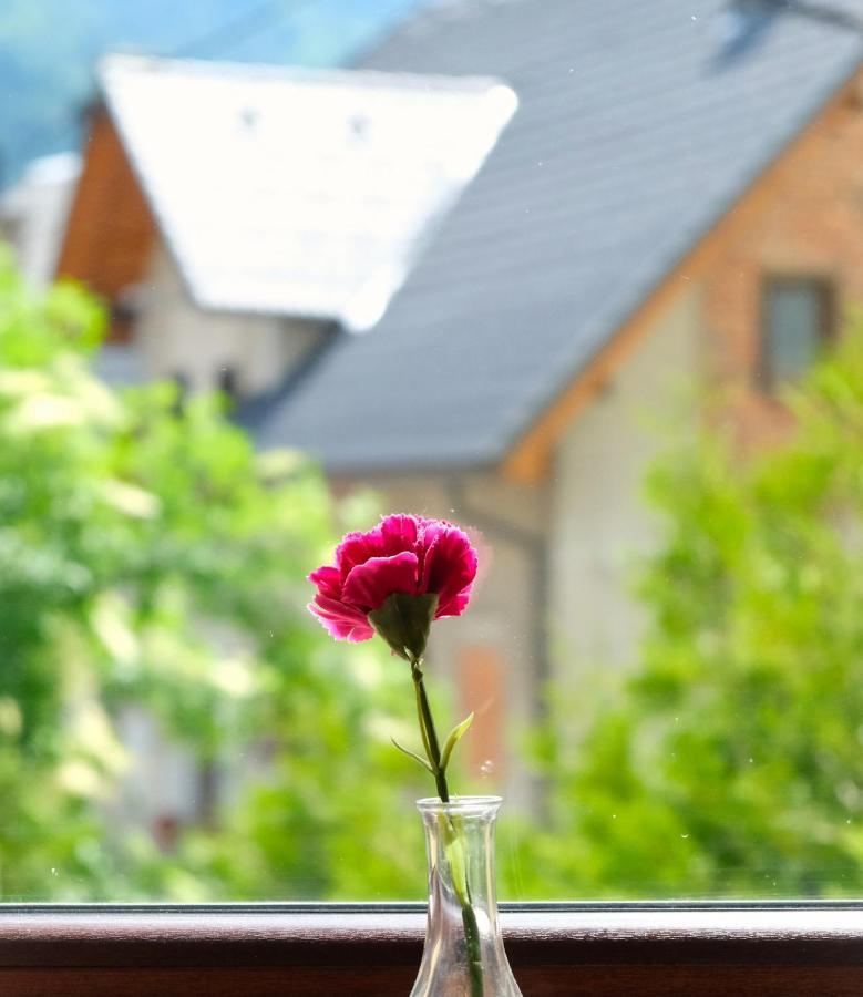 Jacobs Resort House Planica クランスカゴーラ エクステリア 写真